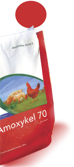Amoxykel 70